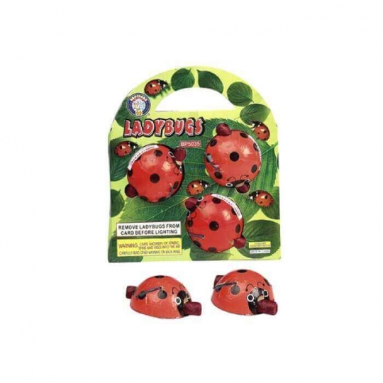 Ladybugs